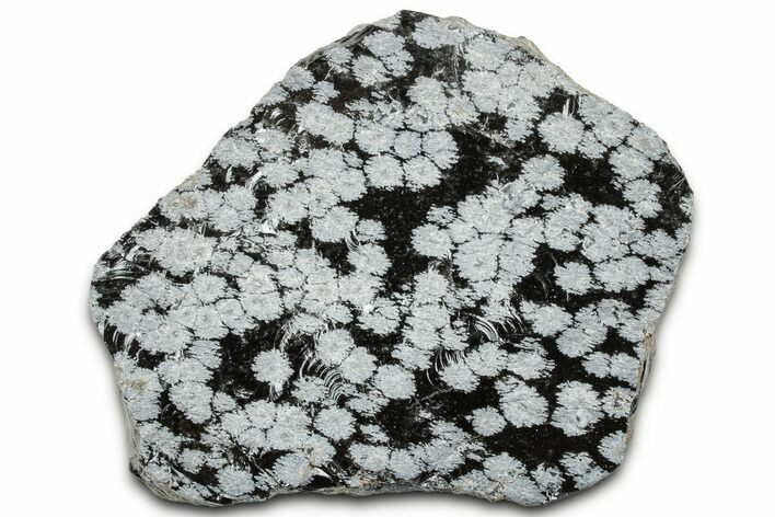 Snowflake Obsidian Section - Utah #327113